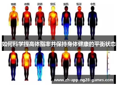 如何科学提高体脂率并保持身体健康的平衡状态 如何科学提高体脂率并保持身体健康的平衡状态