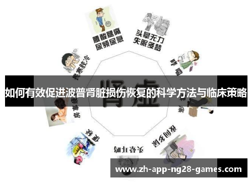 如何有效促进波普肾脏损伤恢复的科学方法与临床策略