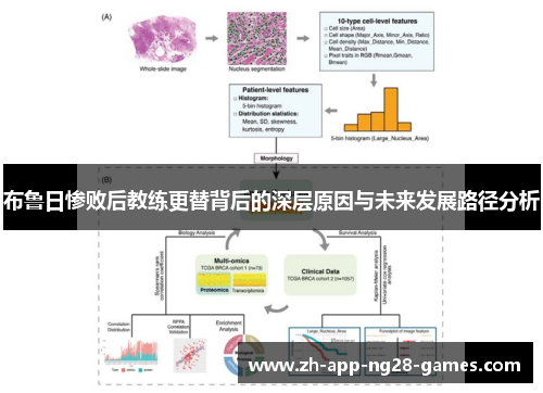 布鲁日惨败后教练更替背后的深层原因与未来发展路径分析 布鲁日惨败后教练更替背后的深层原因与未来发展路径分析