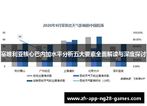 塞维利亚核心巴内加水平分析五大要素全面解读与深度探讨