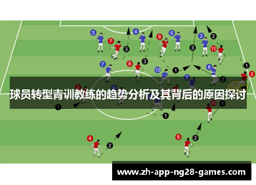 球员转型青训教练的趋势分析及其背后的原因探讨 球员转型青训教练的趋势分析及其背后的原因探讨